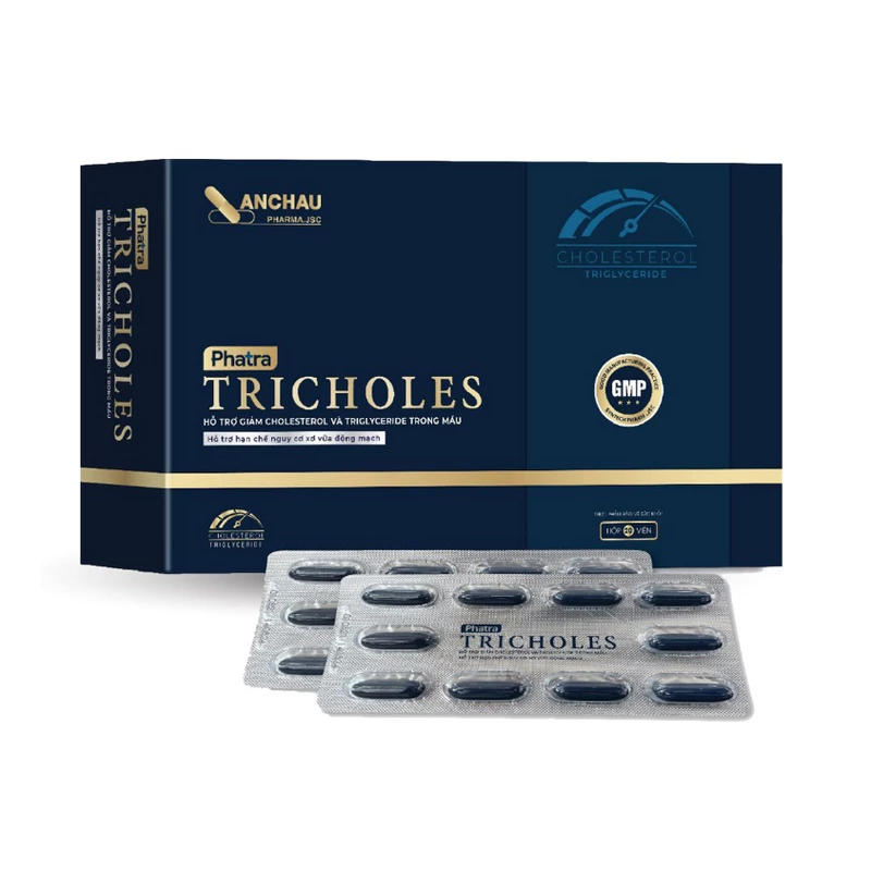 Phatra Tricholes An Châu - Hỗ trợ giảm cholesterol và triglyceride máu