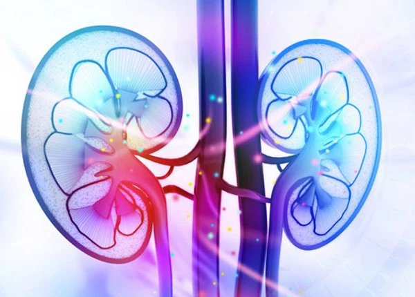 Bệnh thận IgA: Nguyên nhân, triệu chứng và cách điều trị