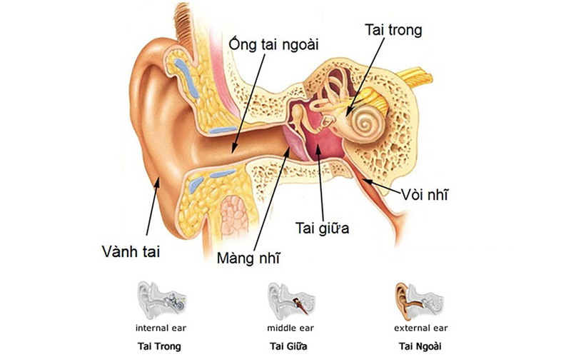 Nguyên nhân viêm tai giữa ở trẻ cha mẹ nào cũng cần biết