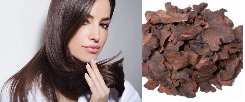 Dùng hà thủ ô mà tóc không đen, đâu là nguyên nhân?