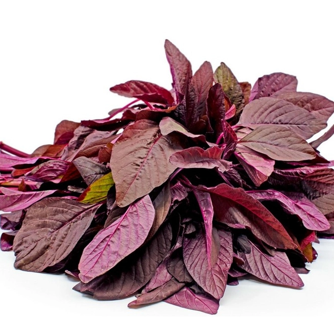 Người đái tháo đường có nên ăn rau dền không?