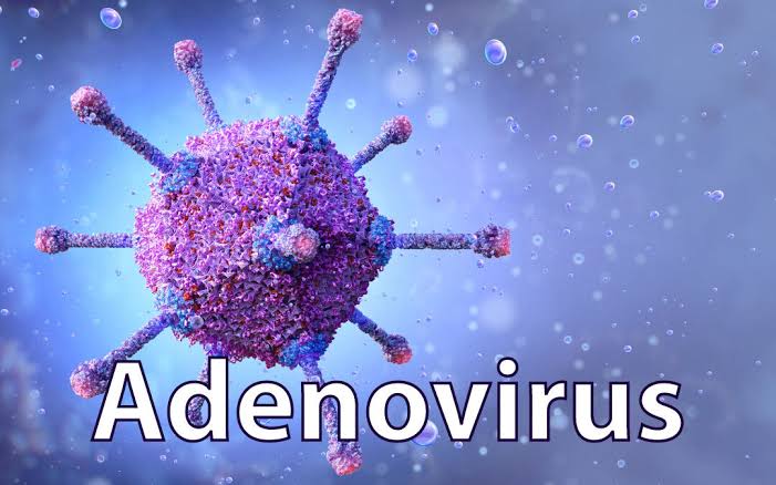 Trẻ sốt mãi không hạ, mắt đỏ: Có phải dấu hiệu nhiễm Adenovirus?