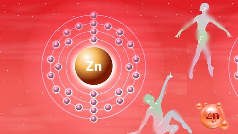 Kẽm có trong thực phẩm nào? 11 thực phẩm giàu kẽm và lưu ý