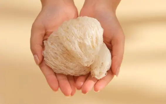 Yến sào cực tốt, nhưng dùng sai cách vừa mất tiền vừa thêm bệnh