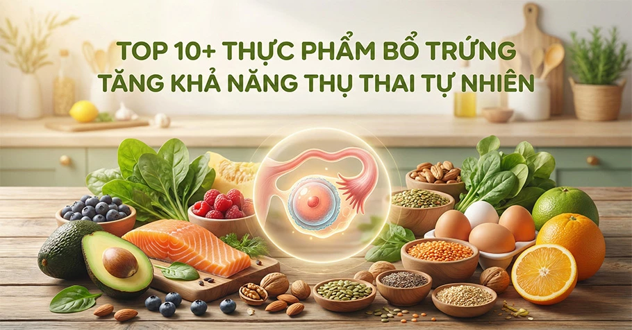 Top 10+ thực phẩm bổ trứng, tăng khả năng thụ thai tự nhiên