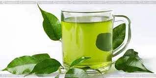 Uống nước lá gì để giảm mỡ máu? Bật mí một số loại lá làm sạch mỡ máu hiệu quả