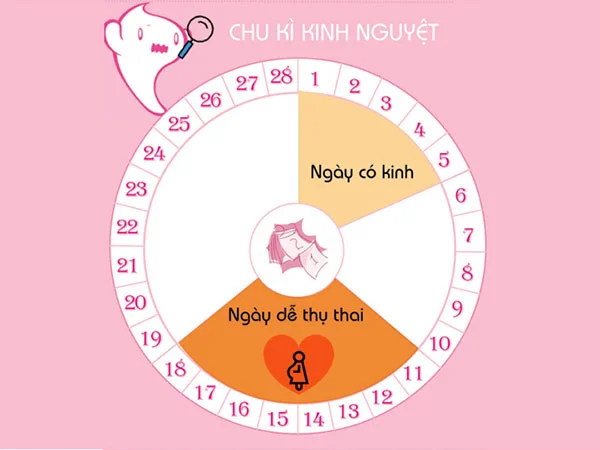 4 cơ hội mang thai, cặp đôi mong con nên biết