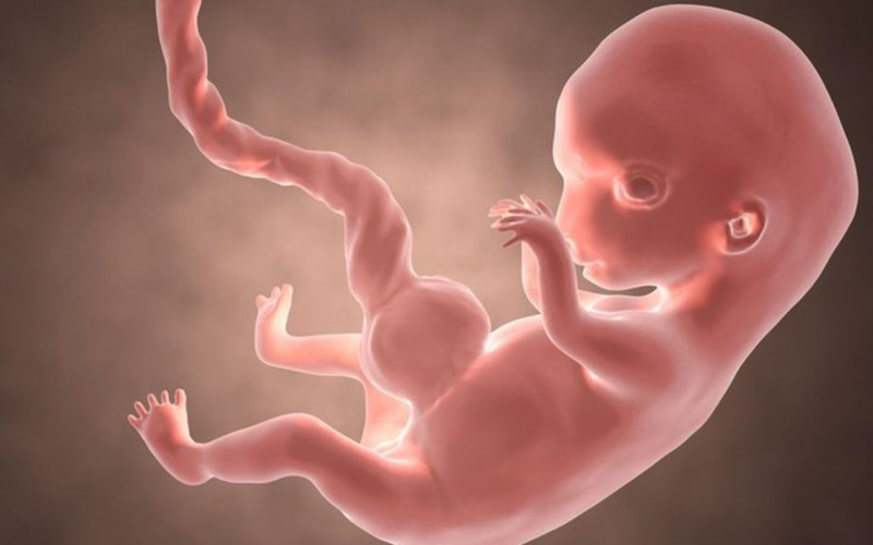 Kết quả siêu âm thai dựa trên những chỉ số nào? Ý nghĩa các chỉ số