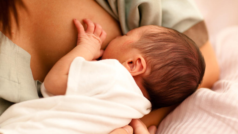 Sữa mẹ được hình thành như thế nào?