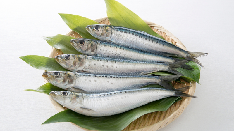8 loại cá có hàm lượng omega-3 cao nhất nên bổ sung