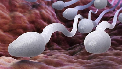 Việc xin tinh trùng và tất tần tật những điều cần biết