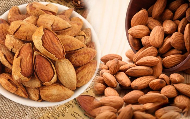 Loãng xương nặng nên ăn gì: Gợi ý nguồn thực phẩm hỗ trợ cải thiện