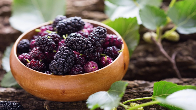 Giải độc gan sau Tết bằng các loại trái cây quen thuộc