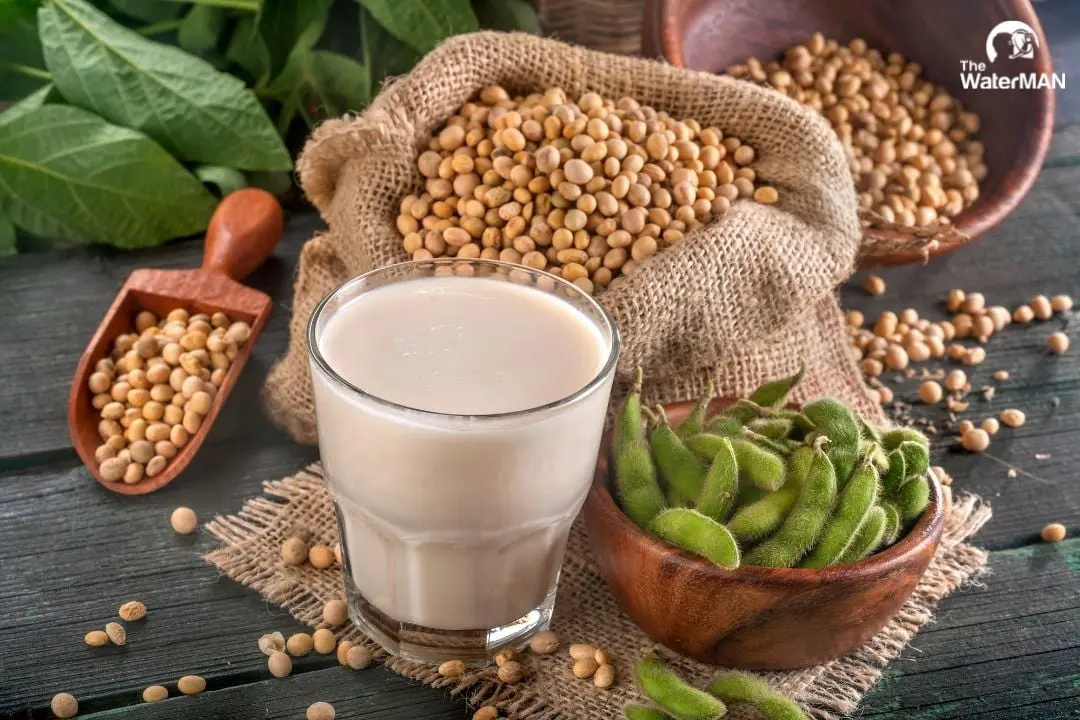 Đậu nành có ảnh hưởng đến sức khỏe tình dục của nam giới không?