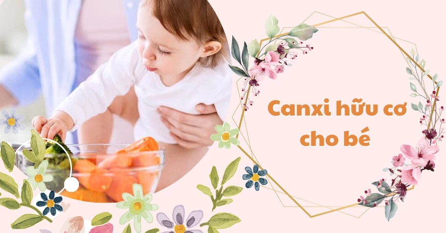 Review 10 canxi hữu cơ cho bé được yêu thích năm 2024