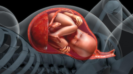 Mẹ bầu bị dư ối có sao không? Một số lưu ý cần biết khi bị dư ối