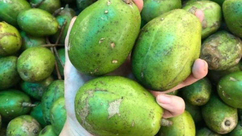 Cóc bao nhiêu calo? Ăn cóc có béo không? Cách ăn giảm cân