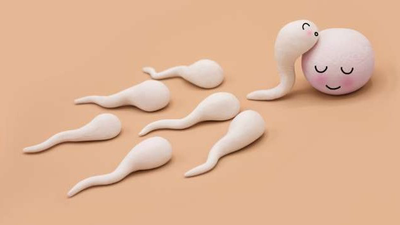 Tinh trùng gặp trứng như thế nào? Những dấu hiệu cho thấy tinh trùng gặp trứng thành công