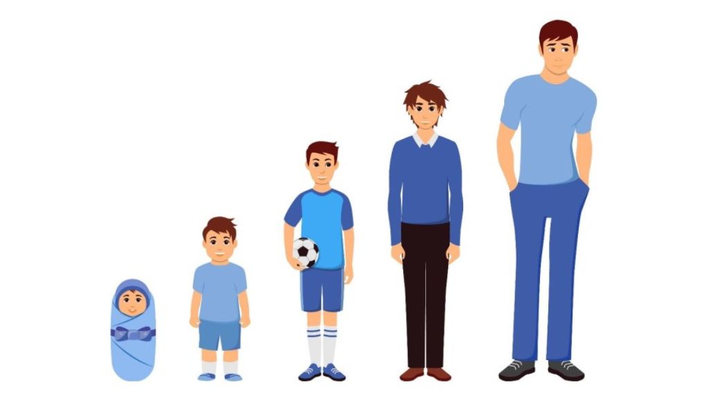 Công thức tính chiều cao tương lai cho bé, cách tính chiều cao cho bé