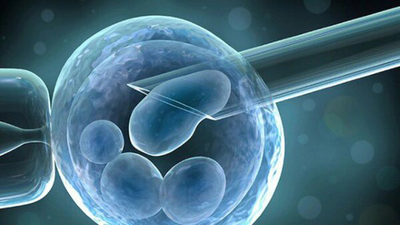 Xin trứng là gì? Làm sao để chọn được người cho trứng?