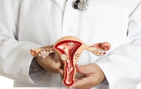 Bạn đã hiểu biết đầy đủ về âm đạo?