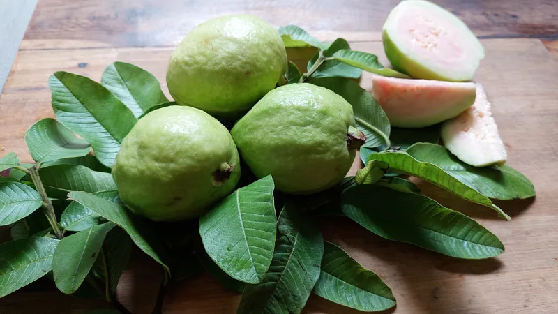 4 nhóm người nên hạn chế ăn ổi để tránh ảnh hưởng sức khỏe