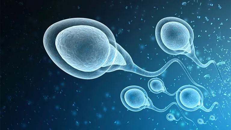 Tìm hiểu về quy trình lọc rửa tinh trùng trong thụ tinh nhân tạo