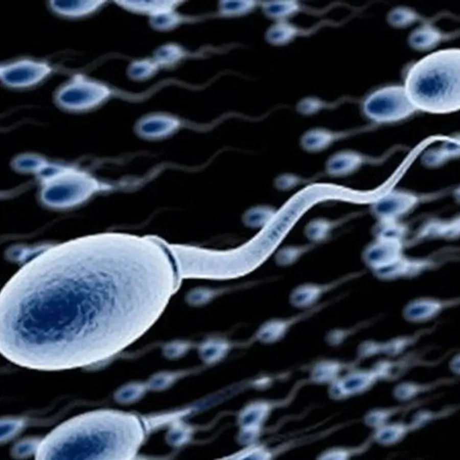 Các thực phẩm càng ăn tinh trùng càng yếu