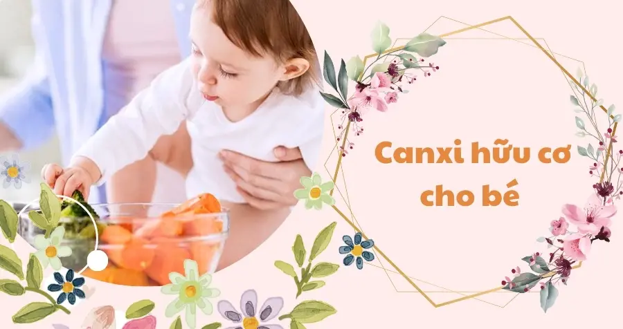 Review 10 canxi hữu cơ cho bé được yêu thích năm 2024